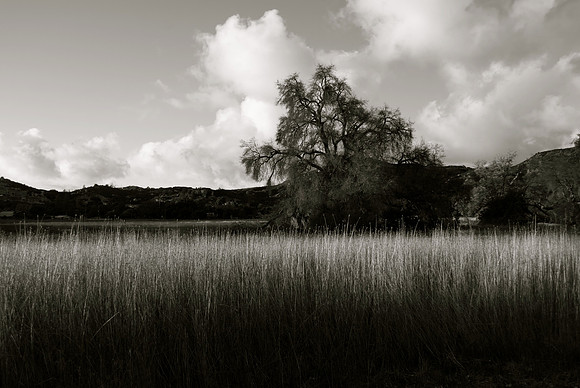 DSC_0040.NEF