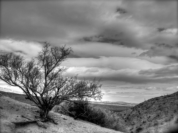 DSCF4808_tonemapped