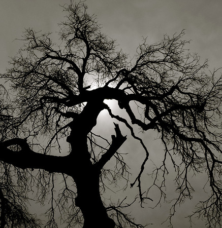 DSCF6185.JPG