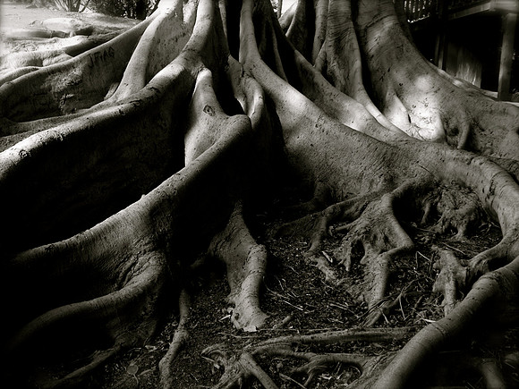 DSCF5014.JPG