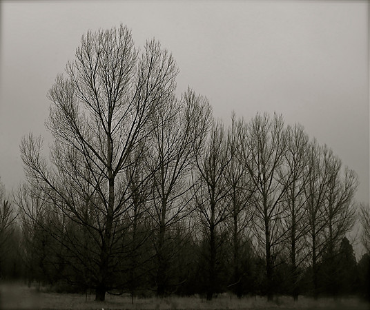 DSCF5001.JPG