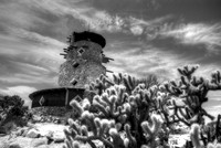 Desert View Tower