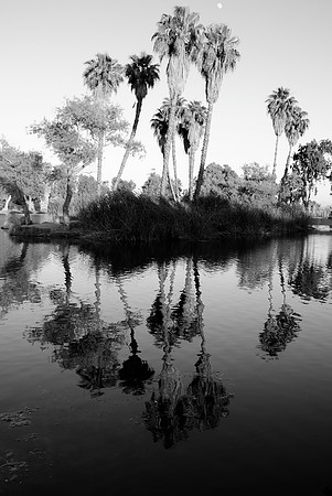 DSC_0056.JPG