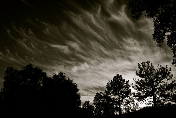 DSC_0187.NEF
