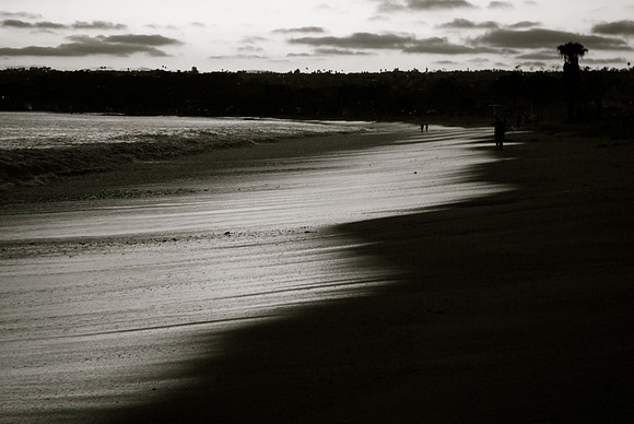 DSC_0138.NEF